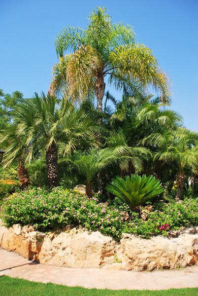 Green Forest - Cyprus' leading landscaping company - project062 24