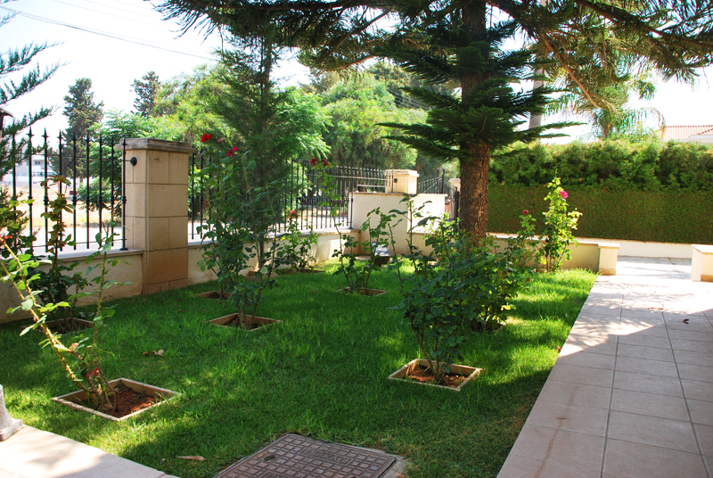 Green Forest - Cyprus' leading landscaping company - project062 25