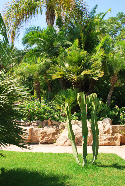 Green Forest - Cyprus' leading landscaping company - project062 27 1