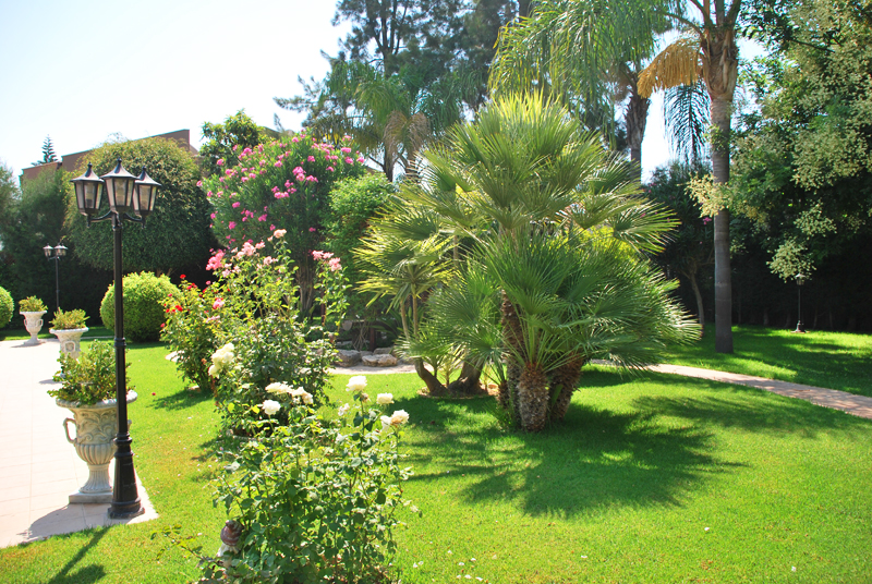 Green Forest - Cyprus' leading landscaping company - project062 6 2