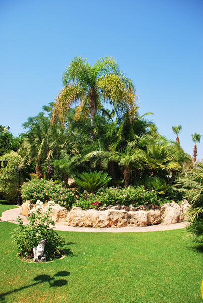 Green Forest - Cyprus' leading landscaping company - project062 8 2