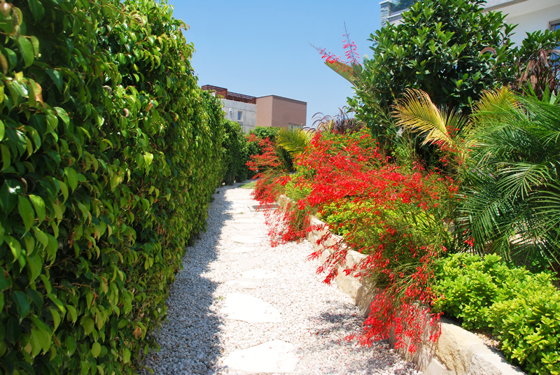 Green Forest - Cyprus' leading landscaping company - project064 10 1