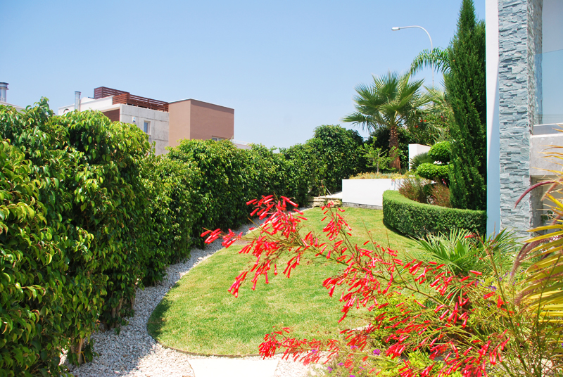 Green Forest - Cyprus' leading landscaping company - project064 11 2