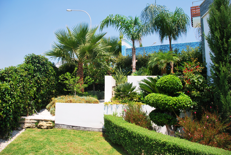 Green Forest - Cyprus' leading landscaping company - project064 13 2