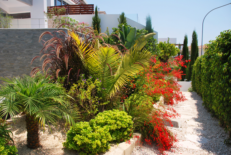Green Forest - Cyprus' leading landscaping company - project064 14 2