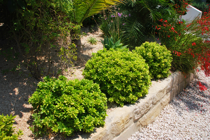 Green Forest - Cyprus' leading landscaping company - project064 16 1