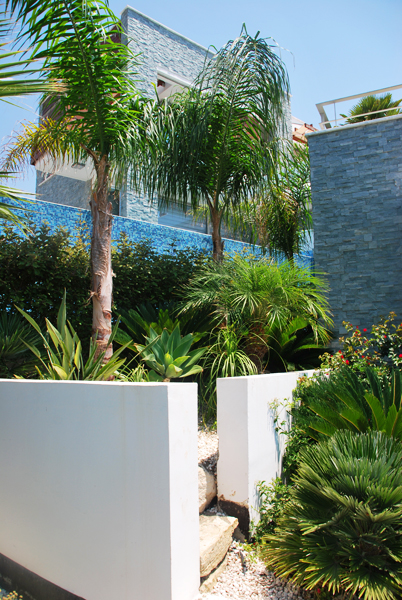 Green Forest - Cyprus' leading landscaping company - project064 17 2