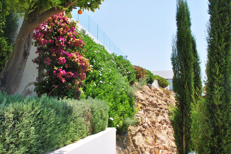 Green Forest - Cyprus' leading landscaping company - project064 22 1