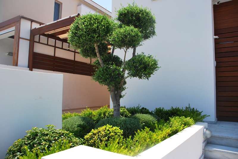 Green Forest - Cyprus' leading landscaping company - project064 3 1
