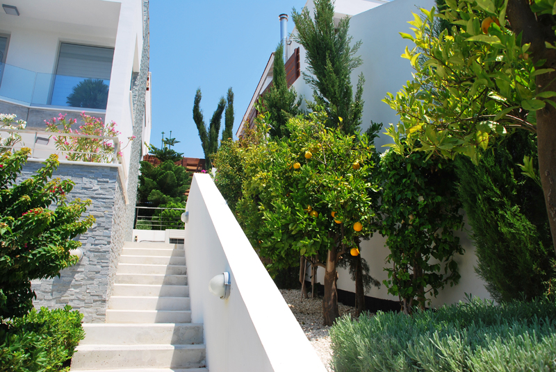 Green Forest - Cyprus' leading landscaping company - project064 7 2