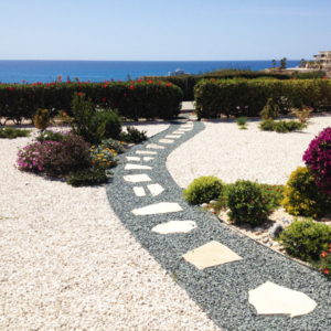 Green Forest - Cyprus' leading landscaping company - project56 1