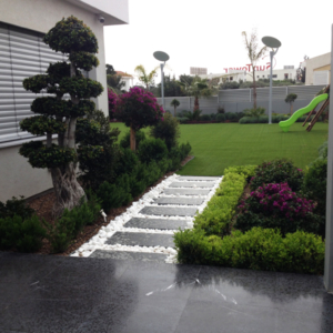 Green Forest - Cyprus' leading landscaping company - project57 1
