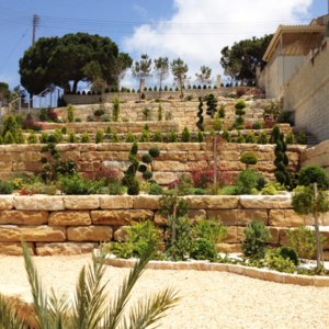 Green Forest - Cyprus' leading landscaping company - project58 1 2