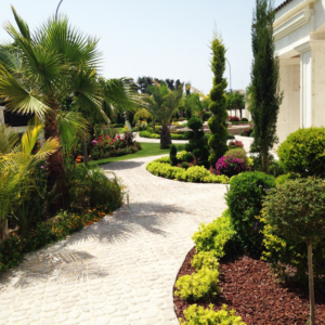 Green Forest - Cyprus' leading landscaping company - project59 1 1