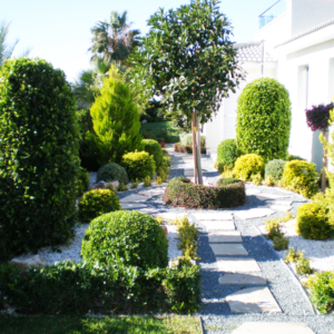 Green Forest - Cyprus' leading landscaping company - project60 1