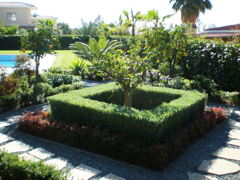 Green Forest - Cyprus' leading landscaping company - project60 13 2
