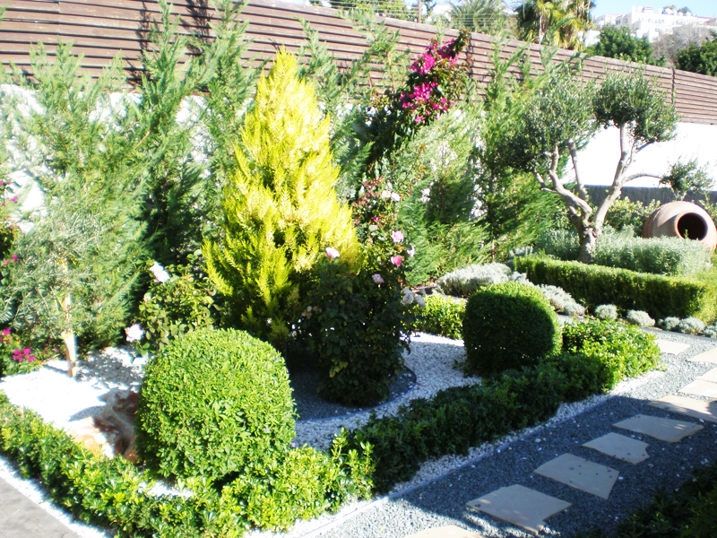 Green Forest - Cyprus' leading landscaping company - project60 4