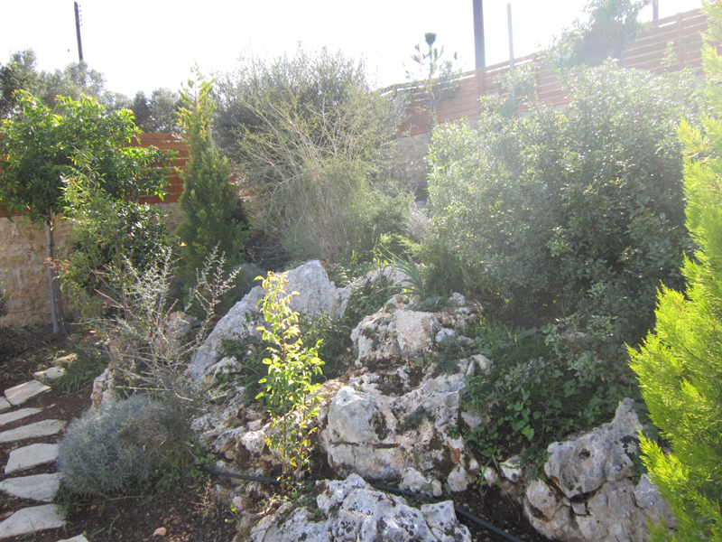 Green Forest - Cyprus' leading landscaping company - rockerygardens 14 2