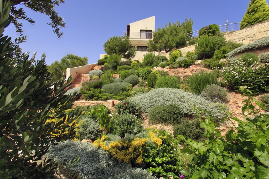 Green Forest - Cyprus' leading landscaping company - rockerygardens 2 2