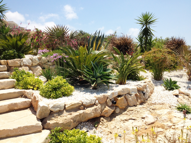 Green Forest - Cyprus' leading landscaping company - rockerygardens 22