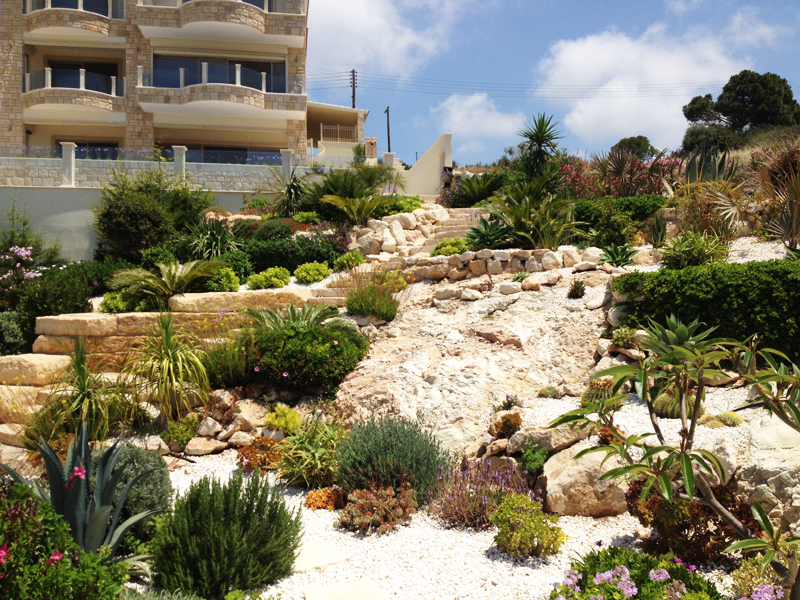 Green Forest - Cyprus' leading landscaping company - rockerygardens 24 2