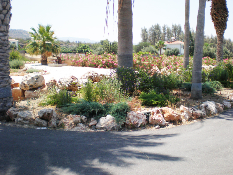 Green Forest - Cyprus' leading landscaping company - rockerygardens 27