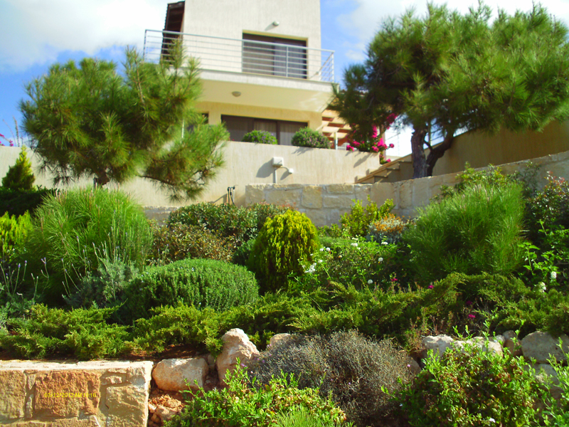 Green Forest - Cyprus' leading landscaping company - rockerygardens 5 2