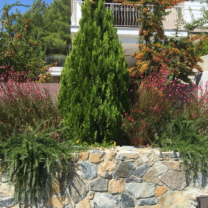 Green Forest - Cyprus' leading landscaping company - stavrosdemosthenous 1