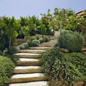 Green Forest - Cyprus' leading landscaping company - steps 1 1