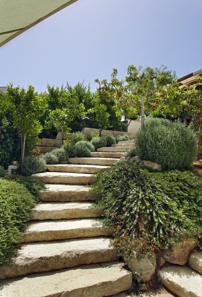 Green Forest - Cyprus' leading landscaping company - steps 1 1