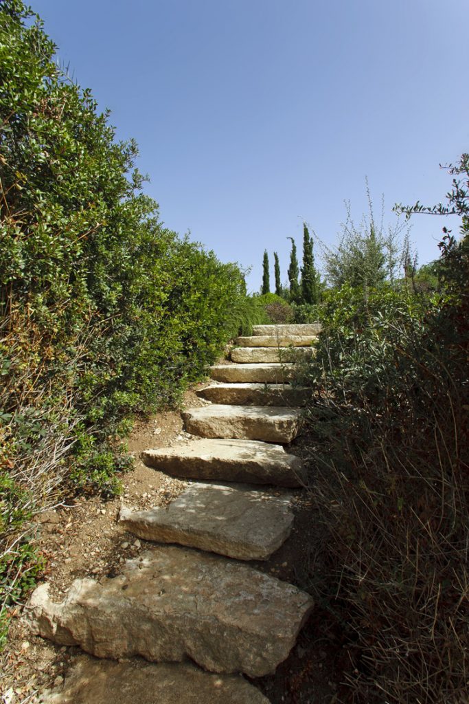 Green Forest - Cyprus' leading landscaping company - steps 4 1