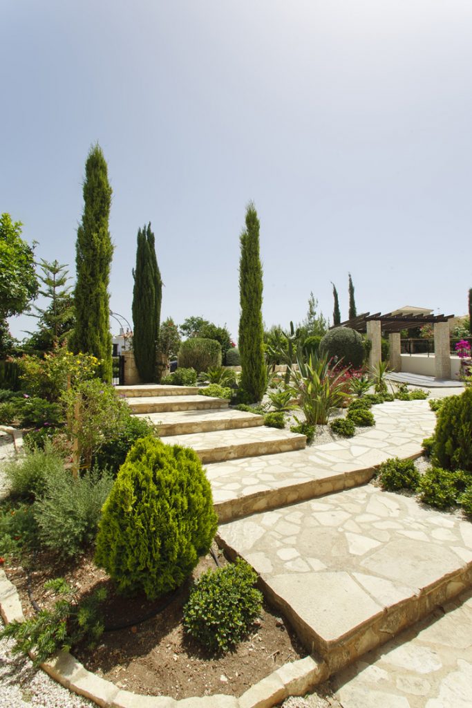Green Forest - Cyprus' leading landscaping company - steps 5 2