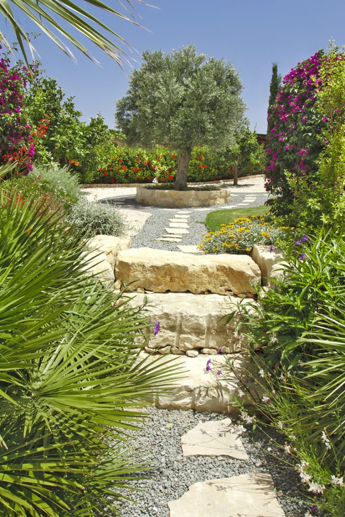 Green Forest - Cyprus' leading landscaping company - steps 6 2