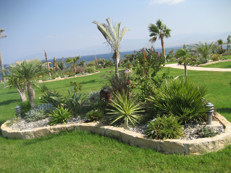 Green Forest - Cyprus' leading landscaping company - tropicalpalmsgardens 24 2