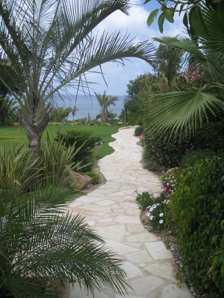 Green Forest - Cyprus' leading landscaping company - tropicalpalmsgardens 47 3