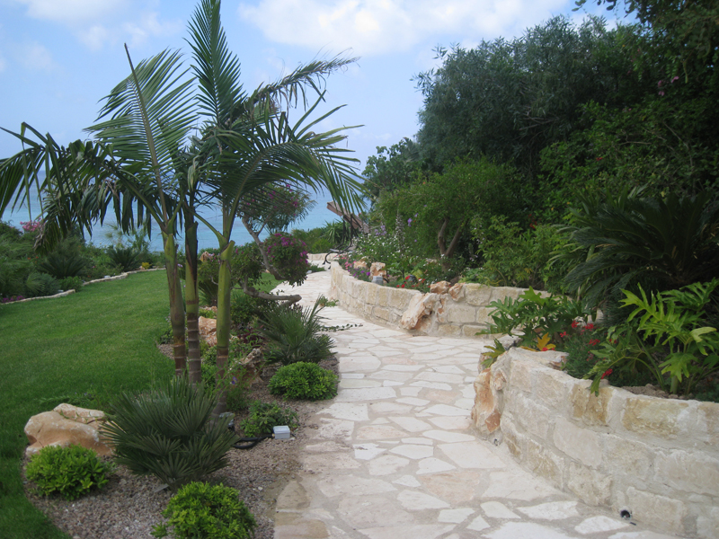 Green Forest - Cyprus' leading landscaping company - tropicalpalmsgardens 50 4