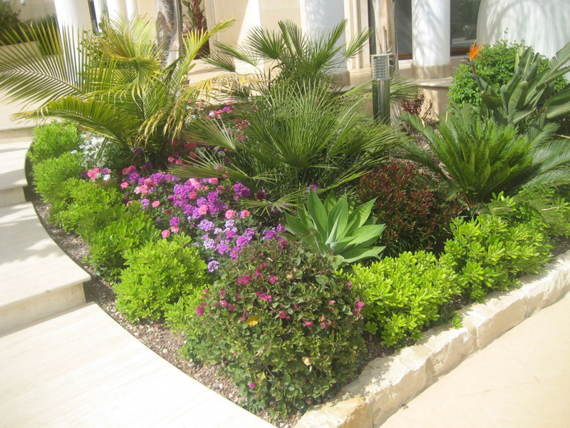 Green Forest - Cyprus' leading landscaping company - tropicalpalmsgardens 60 4
