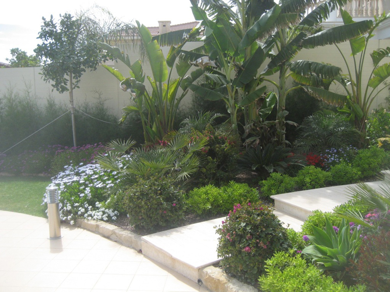 Green Forest - Cyprus' leading landscaping company - tropicalpalmsgardens 61 1