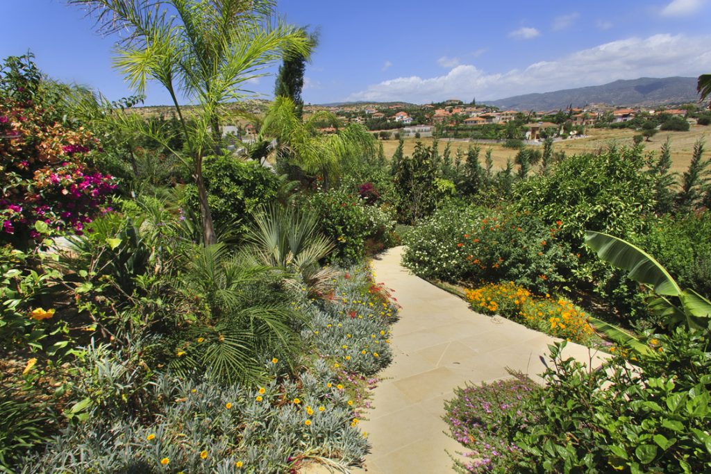 Green Forest - Cyprus' leading landscaping company - vladimirpyrgos 20 2