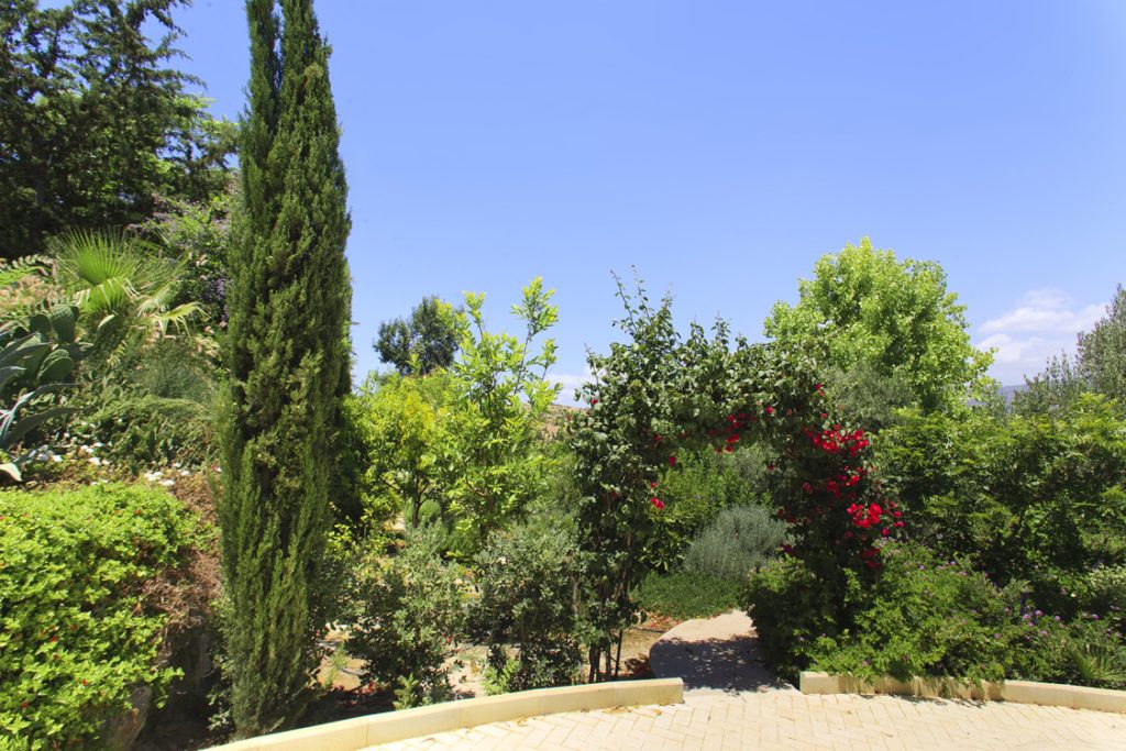 Green Forest - Cyprus' leading landscaping company - vladimirpyrgos 29 2