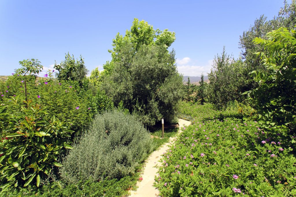 Green Forest - Cyprus' leading landscaping company - vladimirpyrgos 30 2