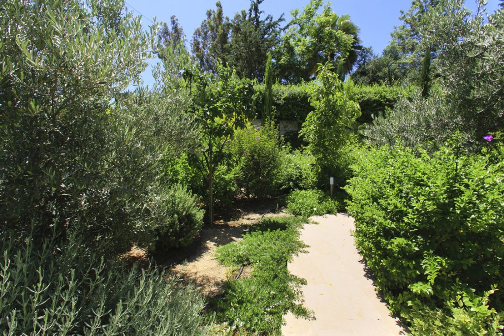 Green Forest - Cyprus' leading landscaping company - vladimirpyrgos 4 2