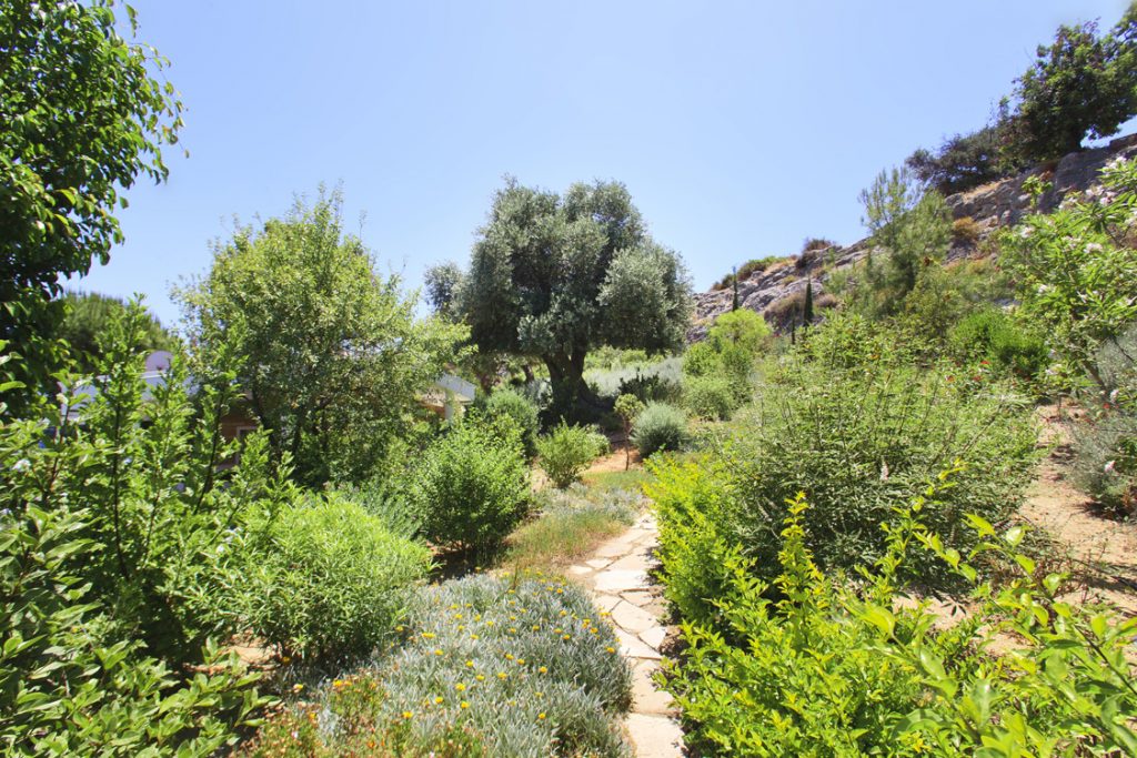 Green Forest - Cyprus' leading landscaping company - vladimirpyrgos 40 1