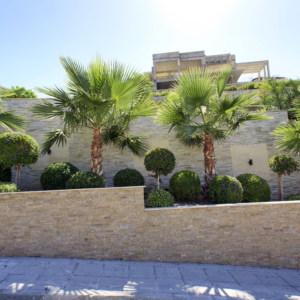 Green Forest - Cyprus' leading landscaping company - walls 1 2