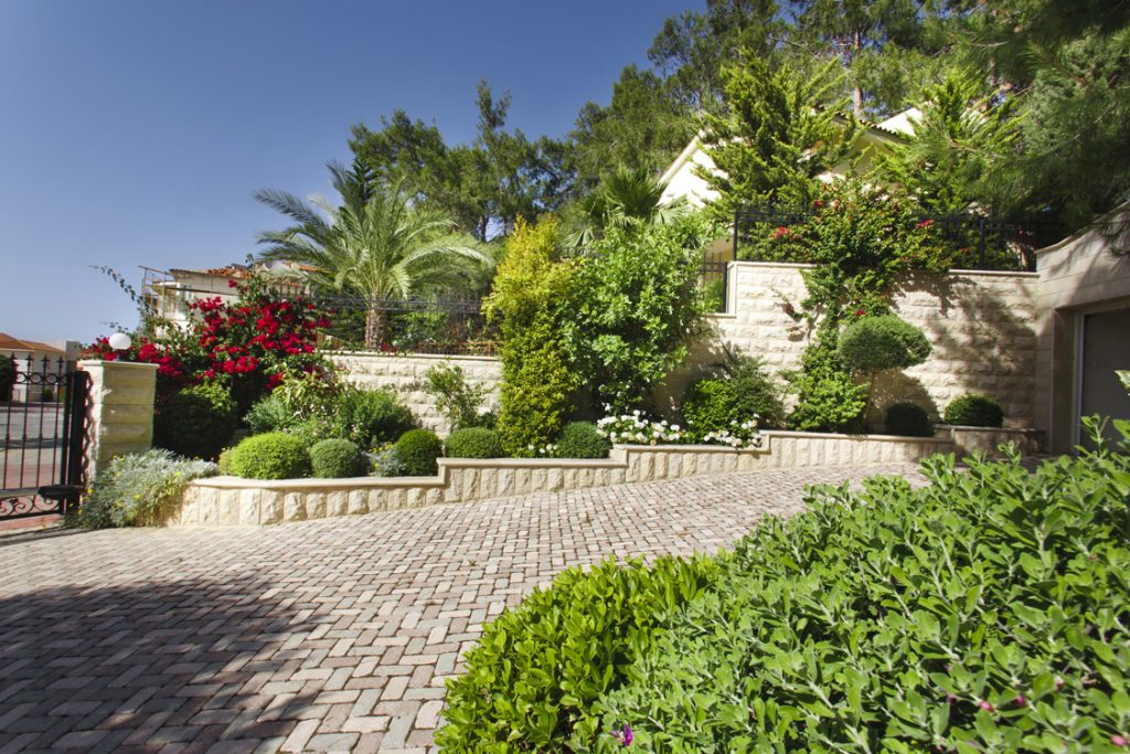 Green Forest - Cyprus' leading landscaping company - walls 10 2