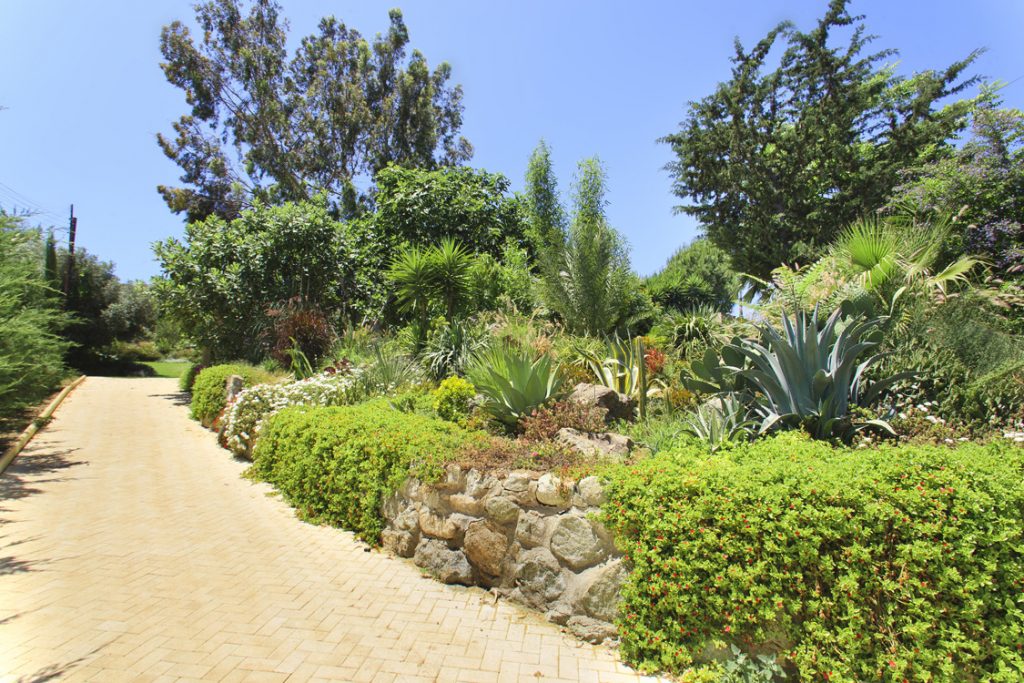 Green Forest - Cyprus' leading landscaping company - walls 23 2