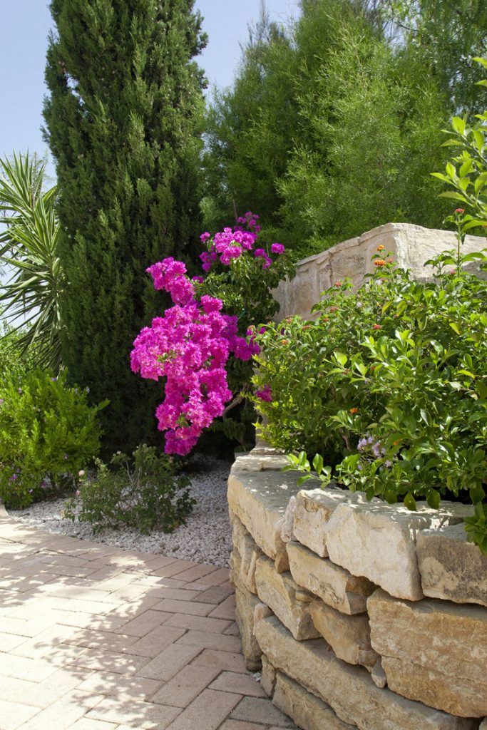 Green Forest - Cyprus' leading landscaping company - walls 8 1