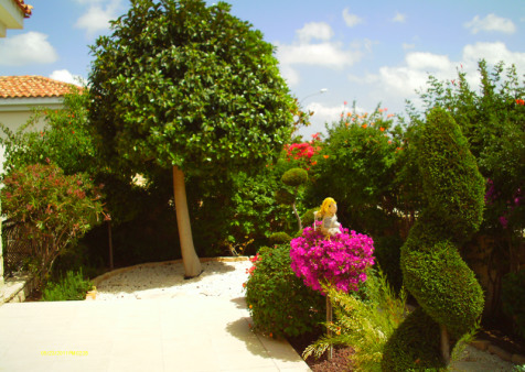 Bonsai Gardens