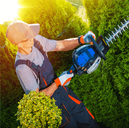 Green Forest - Cyprus' leading landscaping company - Services Categories Skills 2 2